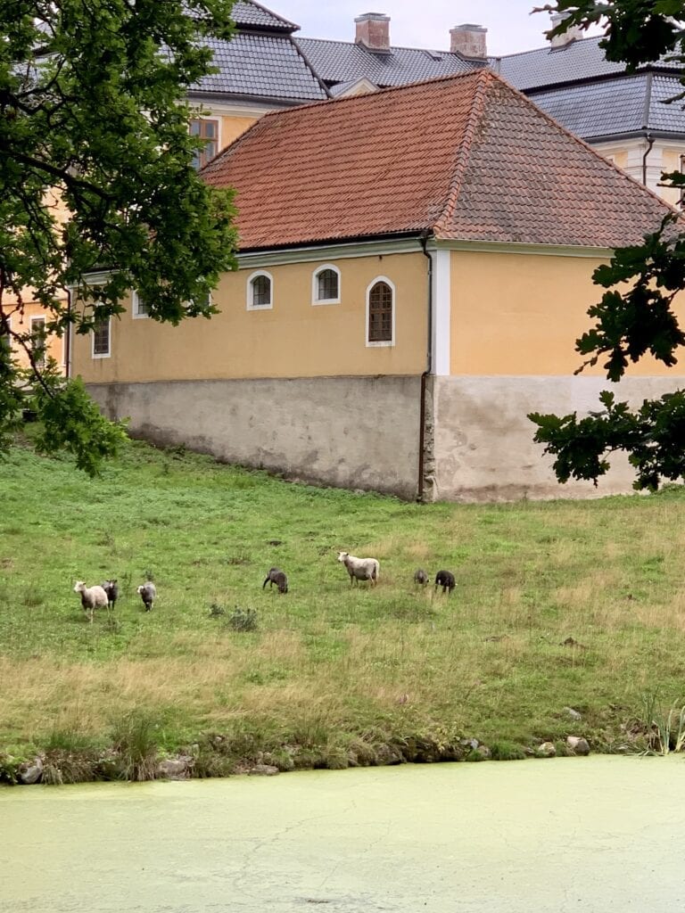 Bakom stallet ligger beteshagen. I förgrunden södra trädgårdsdammen, grön av alger