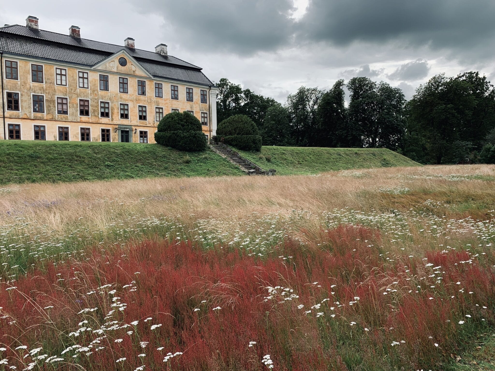 Nedre terrassens gräsplaner