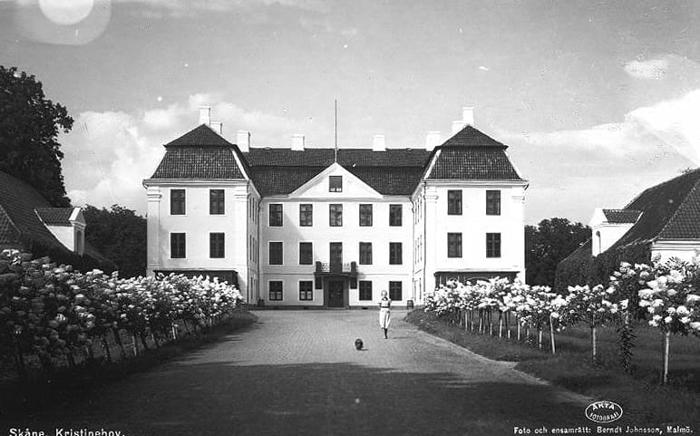 Uppfarten till slottet kantades av rader av syrenhortensia på 1940-talet