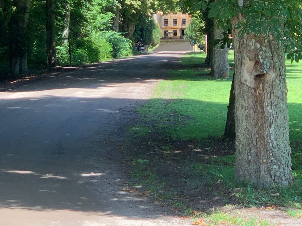 uppfarten-lindplan-landscape Först när man rundade lindplanen visades slottet i all sin prakt.