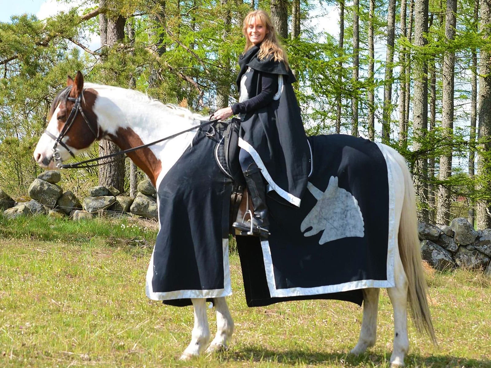 Riddare af Silverfalken som tornerar för Rebel Girls