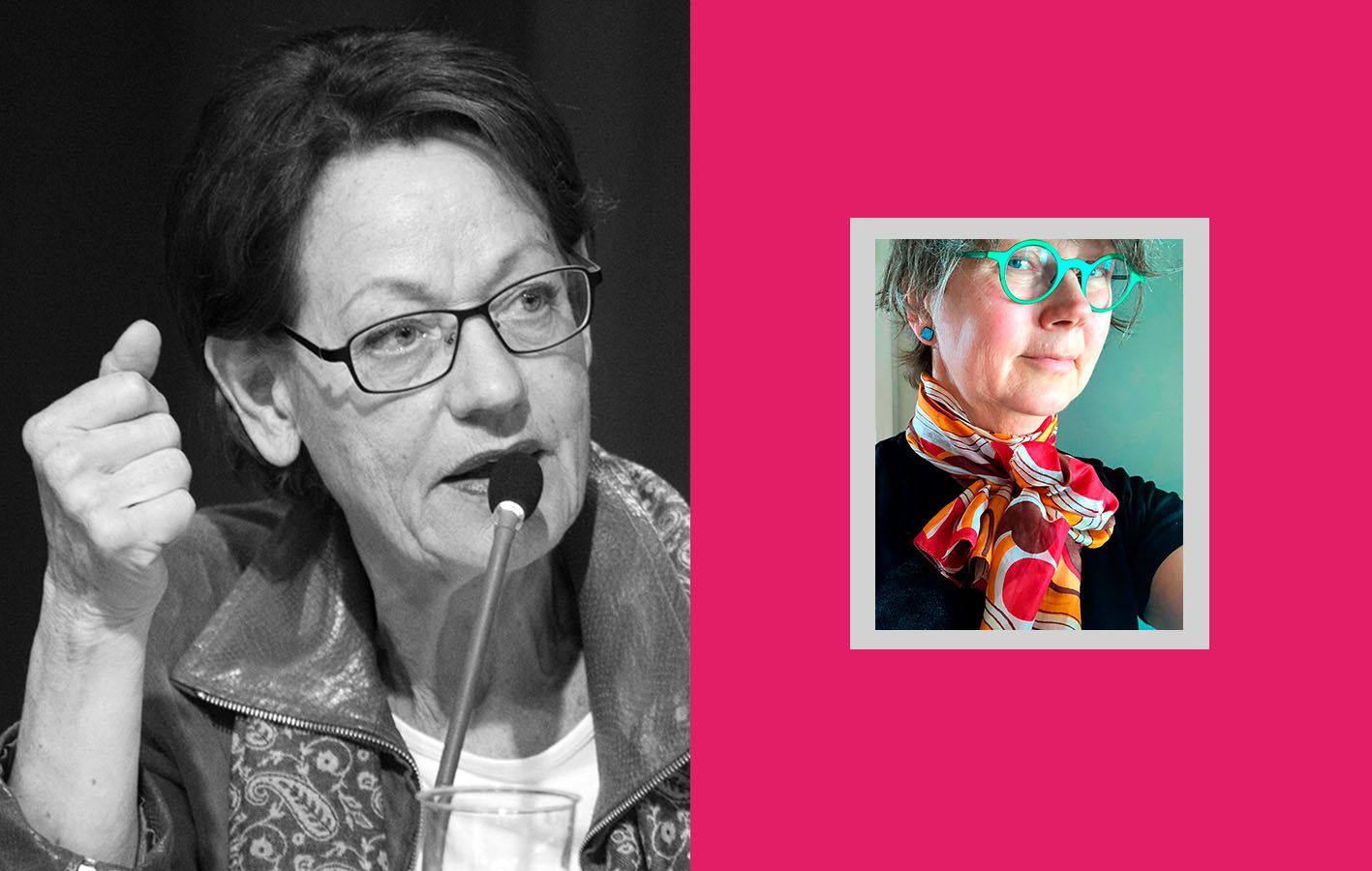 Samtal Neta Norrmo med Gudrun Schyman